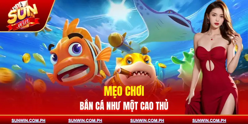 ban-ca-xeng-meo-choi